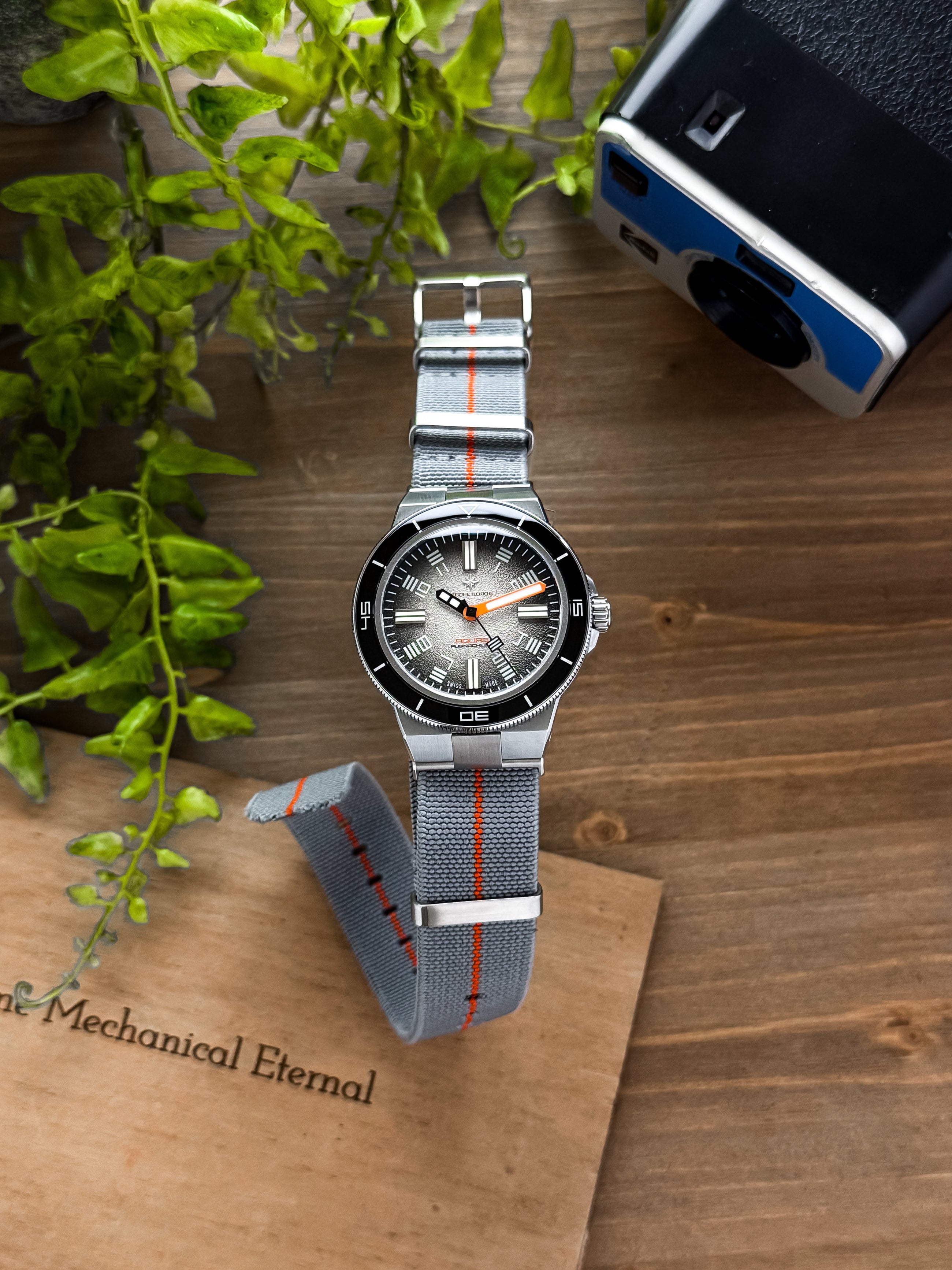 AQUAS PUGNOCHIUSO 01